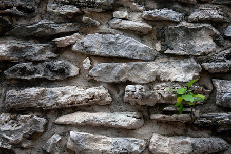 古代玛雅墙