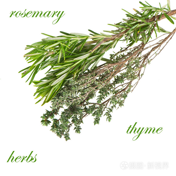 香草迷迭香和百里香照片 正版商用图片1ab2o9 摄图新视界 香草迷迭香和百里香照片 正版商用图片1ab2o9 摄图新视界