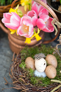 复活节蛋装饰的春天的花朵