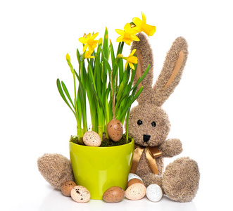 复活节装饰与鸡蛋 水仙鲜花和小兔子