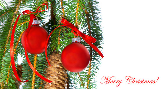 圣诞快乐。红球和杉木树分支的装饰