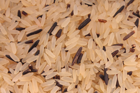 糙米稻穗