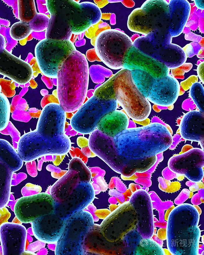 殖民地的危险的细菌