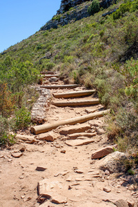 南非桌山远足路径