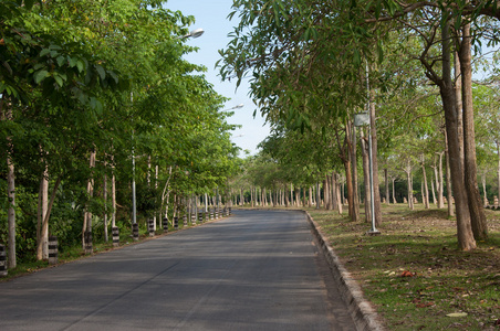 在公园景观路图片