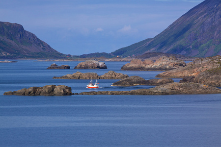 在峡湾中的岩石岛