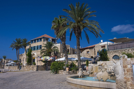 kedumim 方形 jaffa