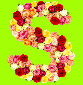 s，玫瑰花卉字母表