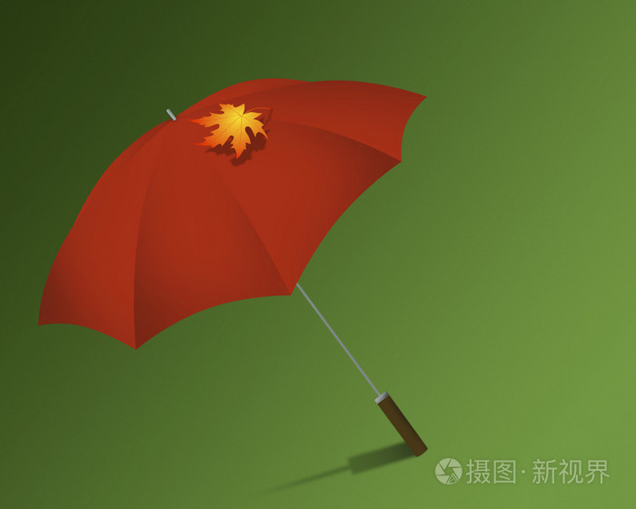 伞和枫树的叶子