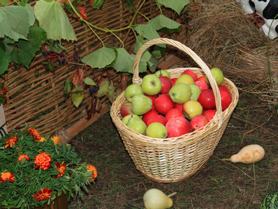 在农村市场上篮子里的苹果