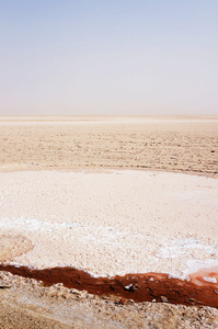 咸湖里的斯索特姆杰瑞德在突尼斯