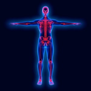 x 射线对人体解剖学