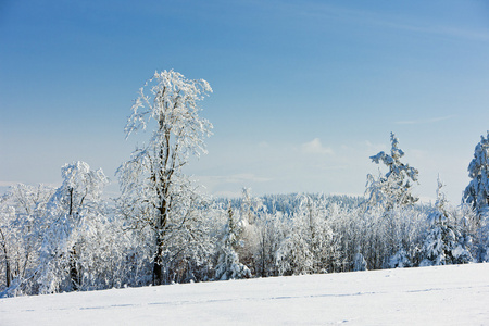 冬季景观，捷克共和国