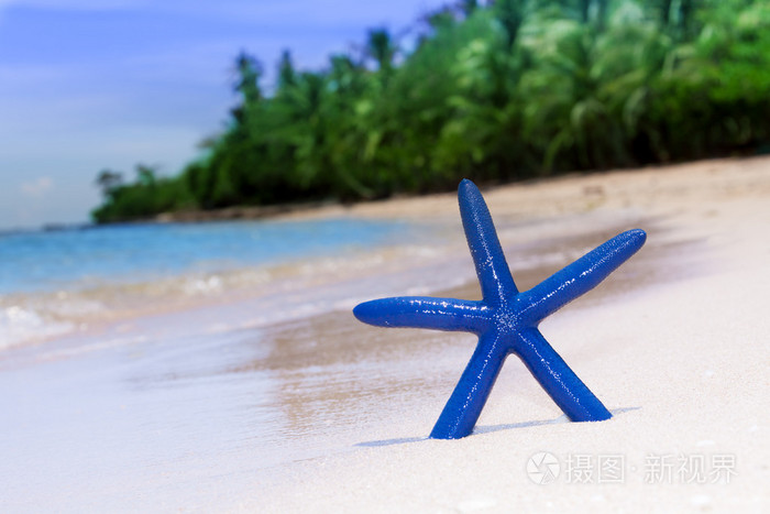 白沙滩上的蓝色海星