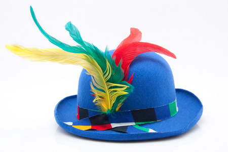 蓝嘉年华礼帽用色彩鲜艳的羽毛图片