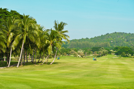 高尔夫球场。棕榈树景观