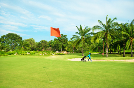 高尔夫球场。风景与棕榈树