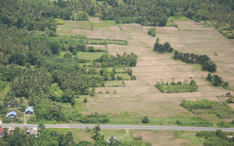 国家公路和水稻领域风景
