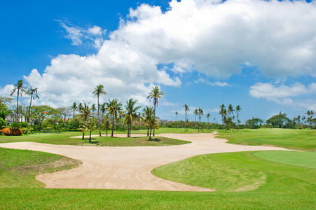 美丽高尔夫球场。砂陷阱 anf 棕榈树