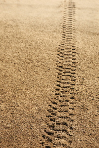 砂的轮胎痕迹