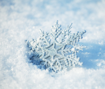 雪上的图像图片