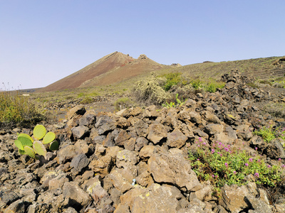 火山 de la 电晕 兰萨罗特岛，加那利群岛西班牙