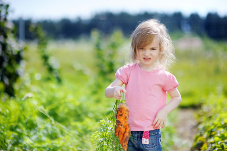可爱女孩在花园里摘胡萝卜