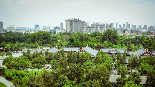 公园附近巨型野鹅宝塔西安，中国