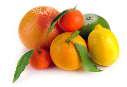 柑橘类水果一套