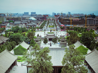 公园附近巨型野鹅宝塔西安，中国