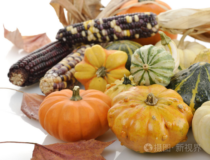 迷你南瓜和印第安玉米