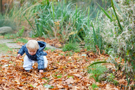 秋天的公园里的小可爱的小孩男孩