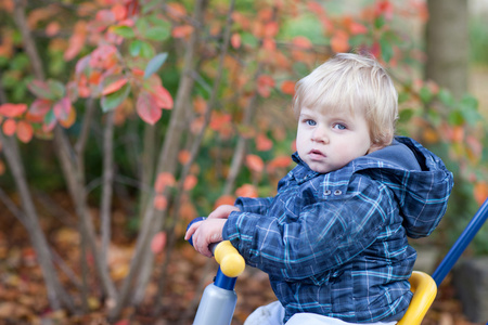 在秋天的森林中的小男孩蹒跚学步