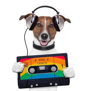 音乐盒式磁带耳机狗