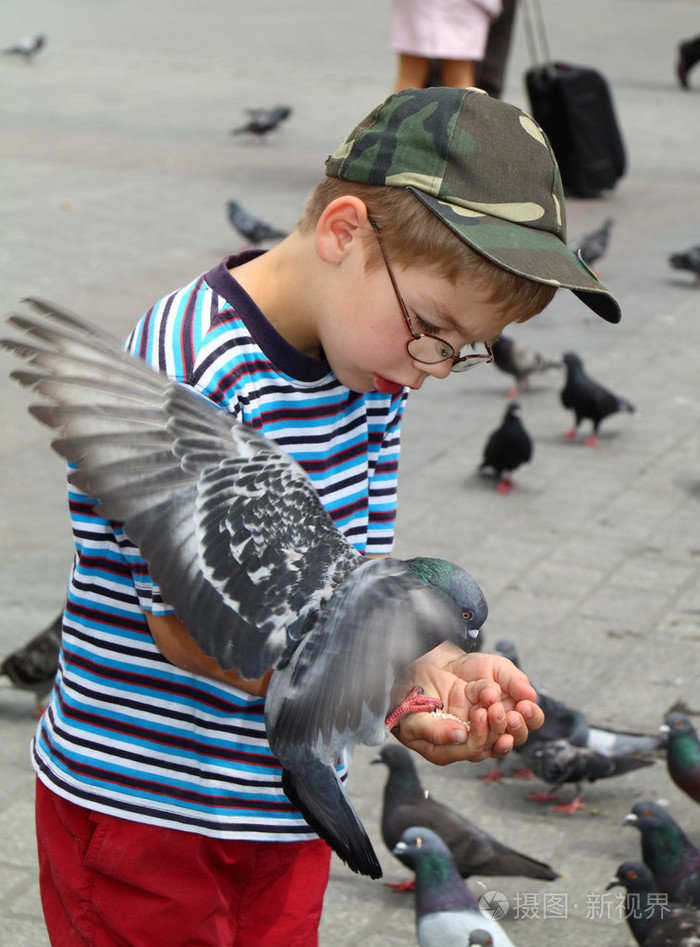 男孩喂小鸟