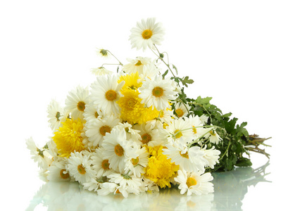 美丽的雏菊花束，孤立在白色