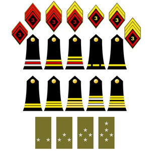 土耳其军队徽章