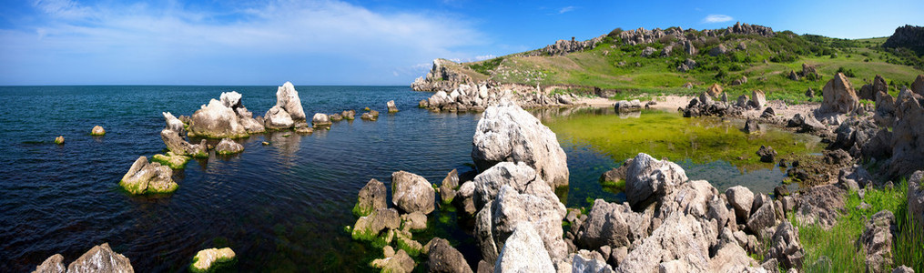 在海滩的全景