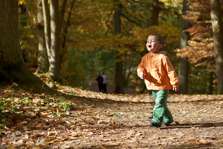 秋天的森林可爱蹒跚学步的男孩