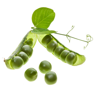 新鲜成熟的绿豌豆图片-新鲜成熟的绿豌豆素材-新鲜成熟的绿豌豆插画