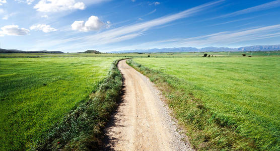 绿色的田野和道路