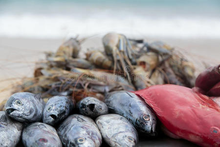 海滩上的新鲜海鲜