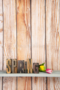 印刷字体的春天图片