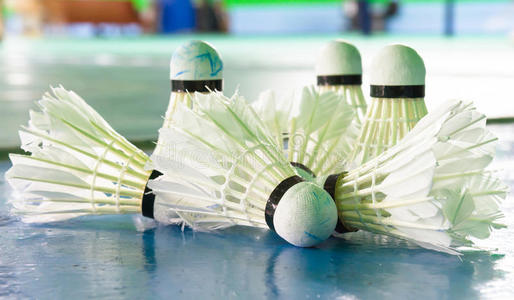 羽毛球 羽毛 特写镜头 游戏 健康 俱乐部 活动 地板 杯子