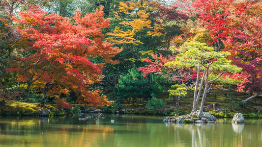 京都京阁寺的京子池或镜池