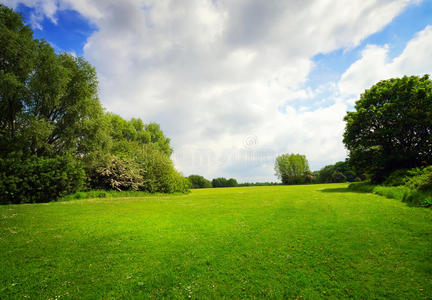 春天 草坪 森林 小山 生长 英国 农田 场景 自然 地平线