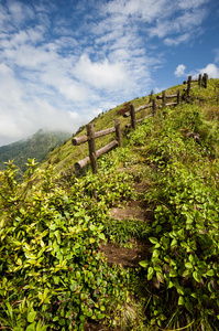 高山草原步道