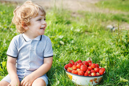 快乐的小男孩在摘草莓有机草莓农场