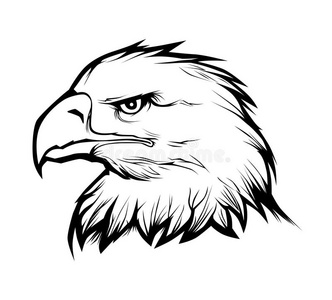 鹰头图片