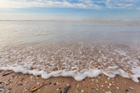 有软体动物壳的北海波浪在沙滩上